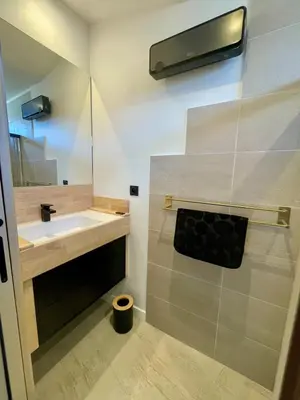 a bathroom with a sink and a mirror at Gite charme et confort in Sainte-Vallière