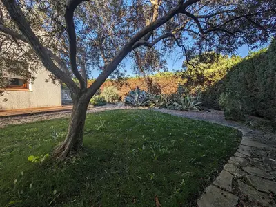 a tree in the middle of a grassy yard at La Plénitude in Narbonne
