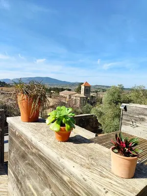 three potted plants sitting on top of a wooden ledge at Maison contemporaine en bois au coeur des Corbières in Ferrals-lès-Corbières