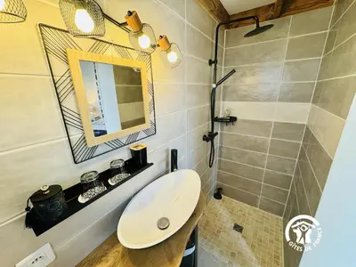 a bathroom with a sink and a mirror and a shower at La cazabanelle in Villegly