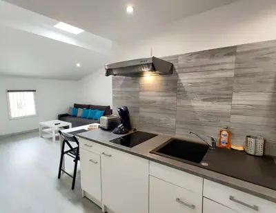 a kitchen with a sink and a counter top at L'Atelier des Carmes in Pamiers
