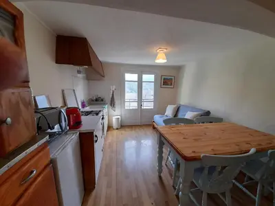 a kitchen and living room with a table and a counter top at Les Citronniers in Belvianes-et-Cavirac