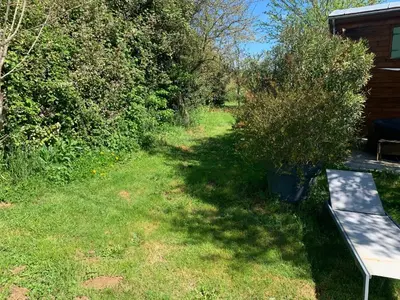 a bench sitting in the grass next to a yard at La roulotte de Plajoulet in Mirepoix