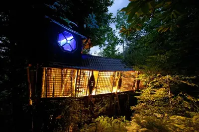 a tree house with lights on it at night at Le Vertige du Tigre in Courniou