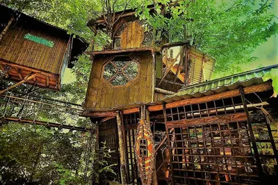 a tree house with a clock on the side of it at Le Vertige du Tigre in Courniou
