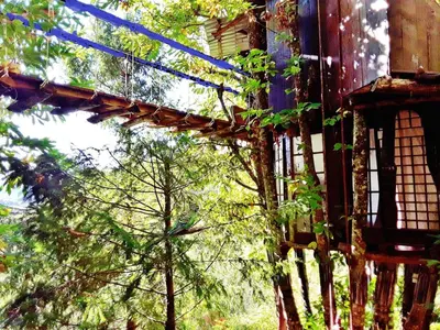 an outside view of a building with a tree at Le Vertige du Tigre in Courniou