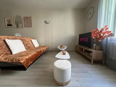 a living room with a bed and a table at Studio de 30 m2 centre-ville NARBONNE in Narbonne