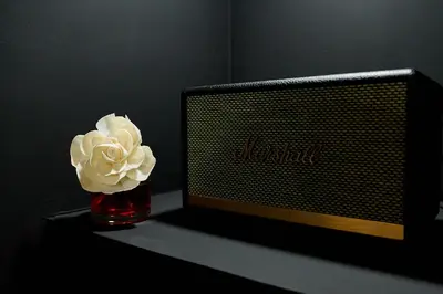 a flower in a vase next to a computer monitor at Love room évasion in Tuchan