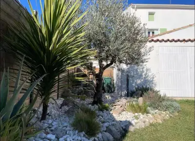 a garden with a palm tree and rocks at Rêve Capestanais - B&B avec Piscine in Capestang