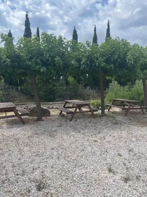a group of picnic tables sitting under a tree at Entre Mer et Vigne Caves in Caves