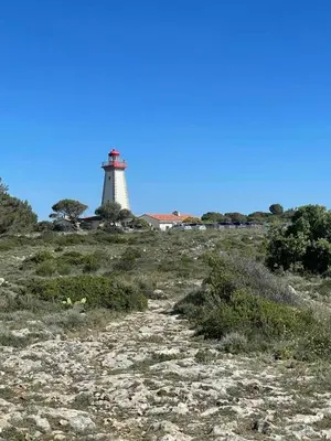 a lighthouse on top of a grassy field with a road at L'esprit Garrigue Caves in Caves