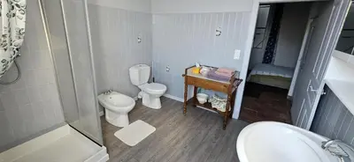 a bathroom with a toilet and a sink and a shower at La surprise des jumelles in Castres