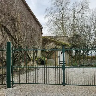 La surprise des jumelles