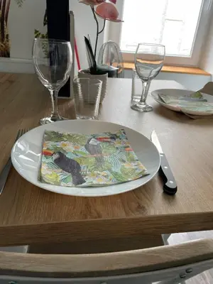 a plate with a napkin on a table with glasses at Studio design hypercentre Gare & espresso offert in Castelnaudary