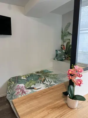 a room with a bed with flowers on the floor at Studio design hypercentre Gare & espresso offert in Castelnaudary