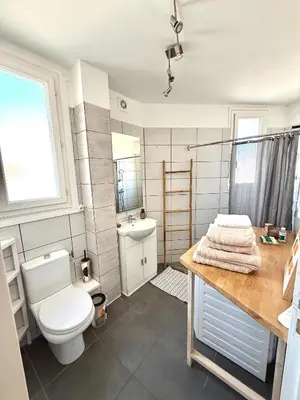 a bathroom with a toilet and a sink at Appartement Narbonne centre in Narbonne