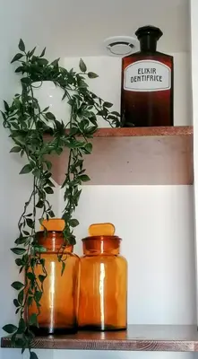three glass jars sitting on a shelf with a plant at Les volets verts in Saint-Laurent-de-la-Cabrerisse