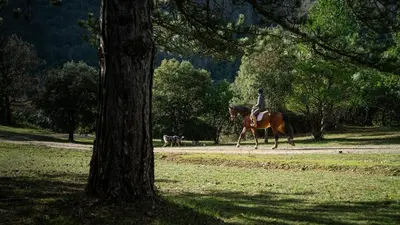 a person riding a horse in a park with a dog at Cavalier Loft Domaine de Greffeil in Greffeil
