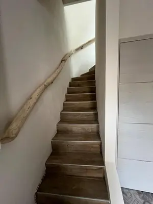 a stairway with a branch on the wall at La bâtisse de Coustouge in Coustouge