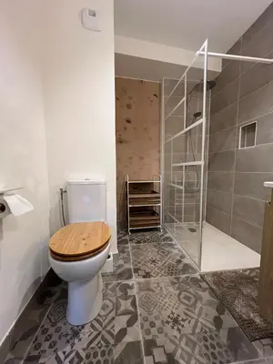 a bathroom with a toilet and a shower at La bâtisse de Coustouge in Coustouge