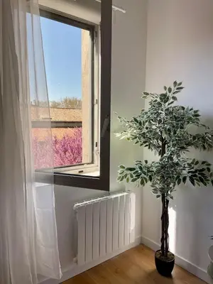 a potted plant in a room with a window at Stylish Apartment with Balcony - Very Central - Long Stays and Pets Welcome in Carcassonne