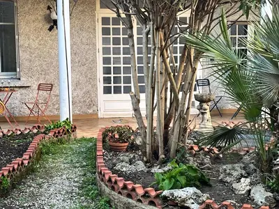 a garden with a palm tree and some plants at Aux 138 in Carcassonne