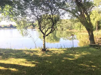 a tree in the grass next to a body of water at En vayssieres