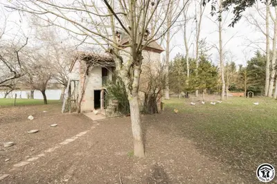 a tree in the middle of a field with a building at En vayssieres
