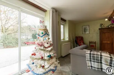 a christmas tree in a living room with a window at Perets petit in Montégut-Lauragais