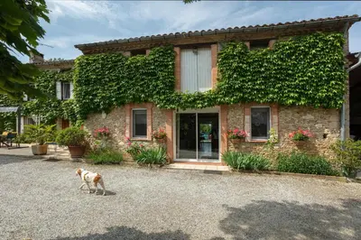 a dog walking in front of a building with ivy at Perets petit in Montégut-Lauragais