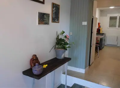 a hallway with a table with a plant on it at Les platanes in Aignes