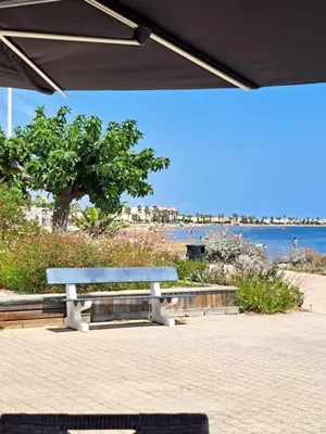 a bench sitting on the beach with the ocean in the background at Plage du grazel le thalassa in Gruissan