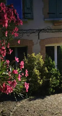 a bush with pink flowers in front of a building at Gîte Domaine de la Fée de l'Eau – L'Eau d'Ô in Saint-Félix-Lauragais
