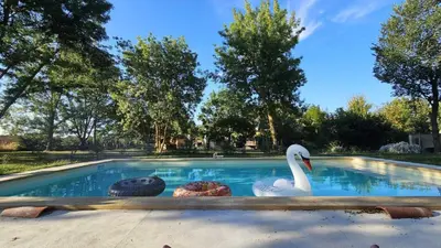 a swan and two balls in a swimming pool at Domaine de la fee de l'eau - les fees de l'o in Saint-Félix-Lauragais