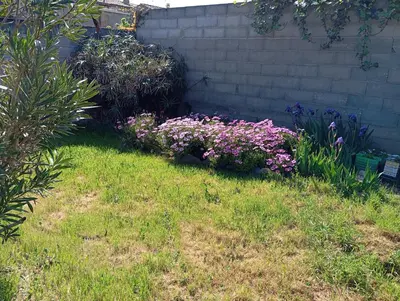 a garden with purple flowers in the grass at Chez Lia in Rieux-Minervois