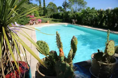 a group of potted plants next to a swimming pool at Character House Between Toulouse And Carcassonne in Soupex