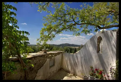 a house with a wall and a tree at Character House Between Toulouse And Carcassonne in Soupex