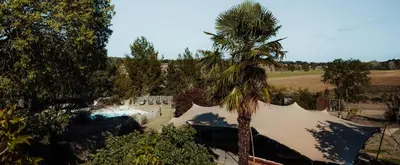 a palm tree and a swimming pool in a yard at Artistic Loft Near Carcassonne in Cavanac
