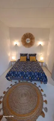 a bedroom with a large bed with a large mirror at Maison Calme au Centre du Village in Puisserguier