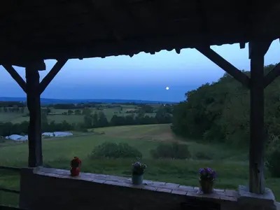a view of a field from a porch with two plants at Domaine Puy Saint Jammes in Castres