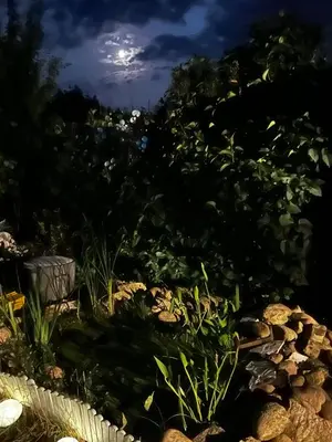 a garden at night with the moon in the sky at Moulin du Sud in Lafage