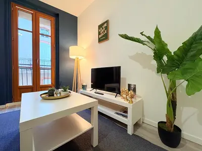 a living room with a tv and a table with a plant at L'Écho du Castella in Pamiers