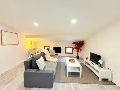 a living room with a couch and a tv at Le Refuge du Midi in Pamiers