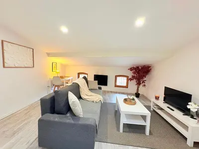 a living room with a couch and a tv at Le Refuge du Midi in Pamiers