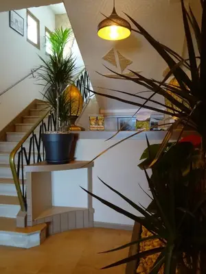 a staircase with potted plants and a pendant light at Le Mazagan in Port-la-Nouvelle