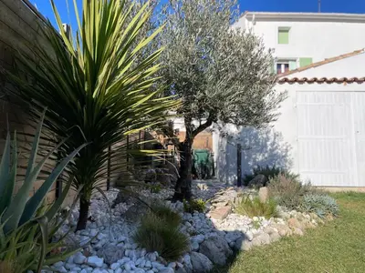 a garden with a palm tree and rocks at Villa avec piscine privée - Capestang in Capestang