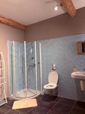 a bathroom with a shower and a toilet and a sink at O'MAZETTE CHAMBRE ROMANTIQUE VUE JARDIN AVEC PISCINE découverte de l'Aude in Fabrezan