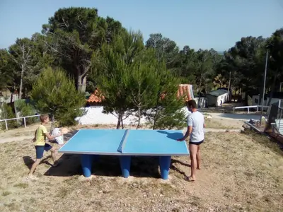 a group of people standing around a ping pong table at Camping Le Bois De Pins in Salses-le-Chateau