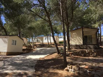 a row of mobile homes in a park with trees at Camping Le Bois De Pins in Salses-le-Chateau