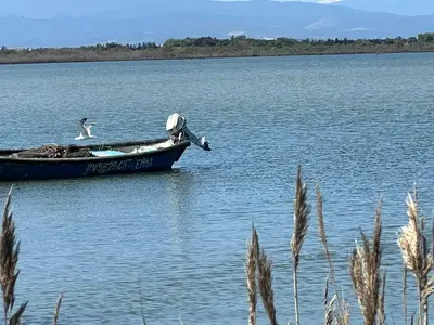 a bird is standing on a boat in the water at Suite Noire et Blanche in Saint-Paul-de-Fenouillet